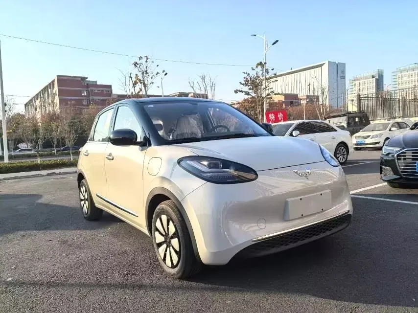 2024 WuLing BinGuo BEV 31.9KWH,autocango,china used car exporter,china ev exporter,chinese used car exporter,chinese used ev exporter