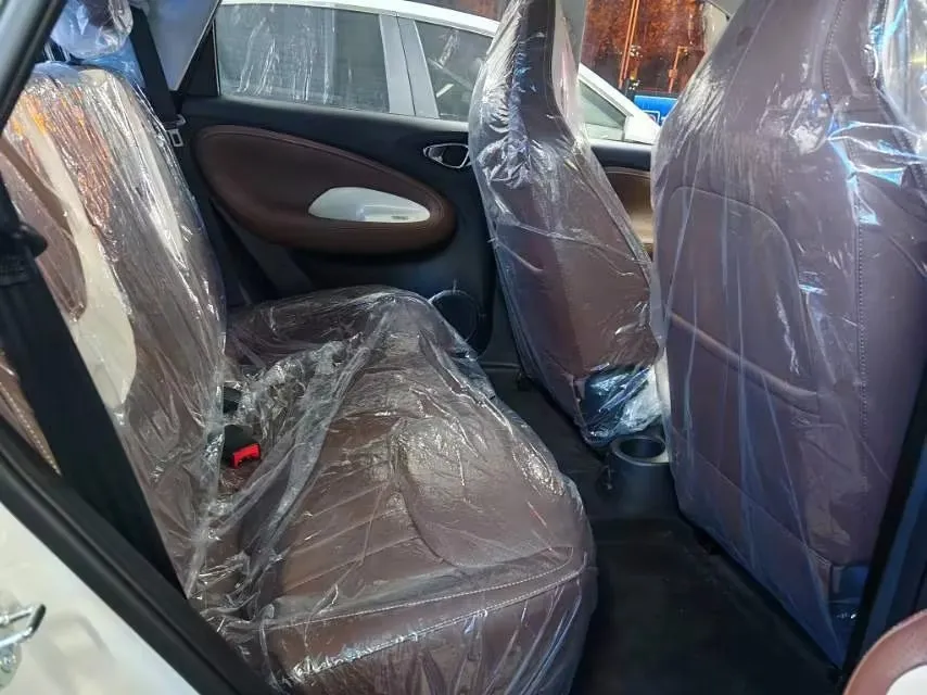 2024 WuLing BinGuo BEV 31.9KWH,autocango,china used car exporter,china ev exporter,chinese used car exporter,chinese used ev exporter