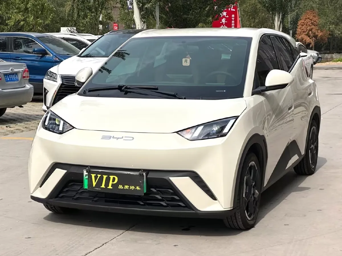 2023 BYD Dolphin BEV 44.928KWH,autocango,china used car exporter,china ev exporter,chinese used car exporter,chinese used ev exporter