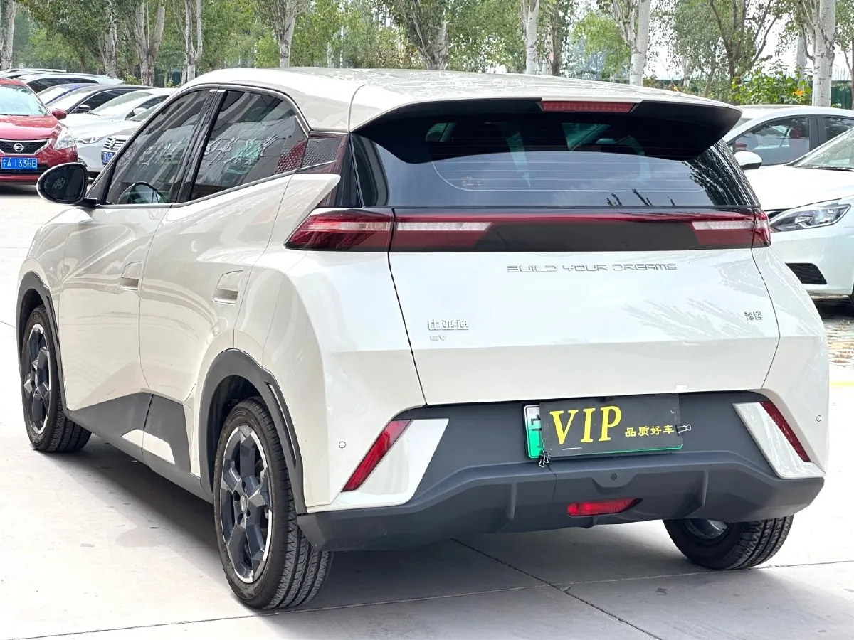 2023 BYD Dolphin BEV 44.928KWH,autocango,china used car exporter,china ev exporter,chinese used car exporter,chinese used ev exporter