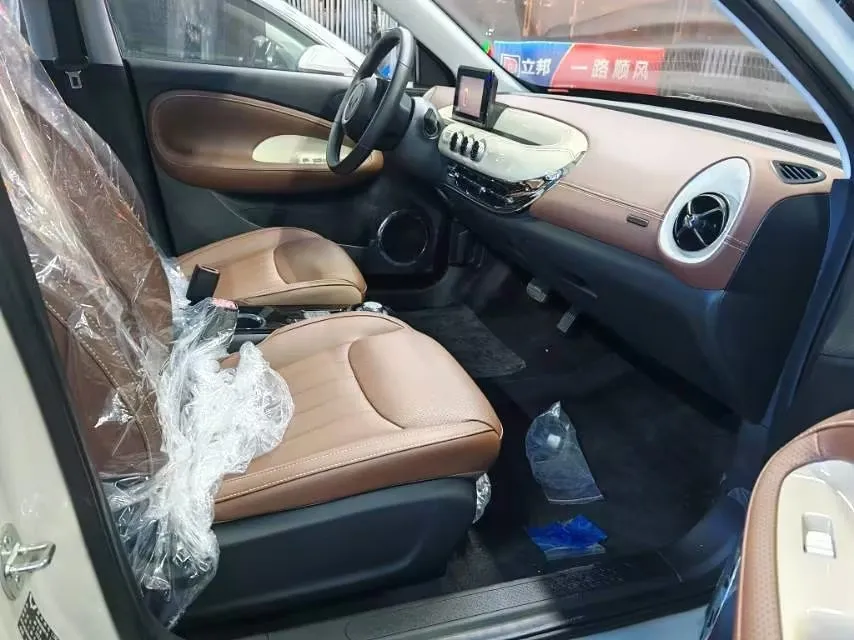 2024 WuLing BinGuo BEV 31.9KWH,autocango,china used car exporter,china ev exporter,chinese used car exporter,chinese used ev exporter