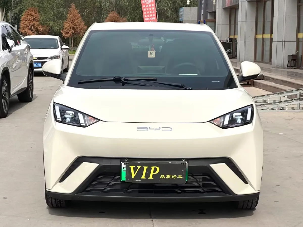 2023 BYD Dolphin BEV 44.928KWH,autocango,china used car exporter,china ev exporter,chinese used car exporter,chinese used ev exporter