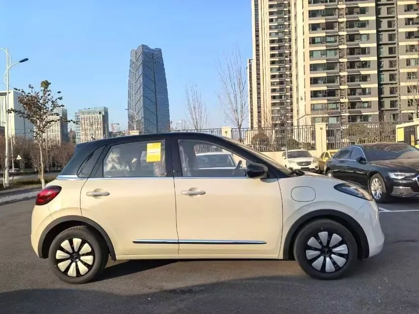 2024 WuLing BinGuo BEV 31.9KWH,autocango,china used car exporter,china ev exporter,chinese used car exporter,chinese used ev exporter