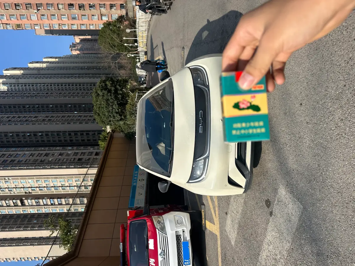 2023 BYD Dolphin BEV 44.928KWH